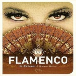 va---nu-flamenco-nu-sounds-flamenco-grooves-(2010)