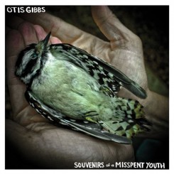 otis-gibbs---souvenirs-of-a-misspent-youth-(2014)
