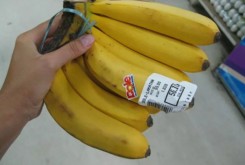 bananyi-lacatan