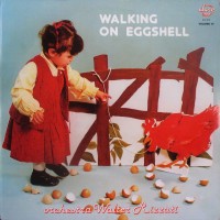 front---1981---orchestra-walter-rizzati---walking-on-eggshell,-italy
