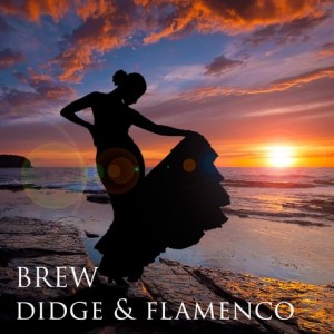 brew-didge-flamenco