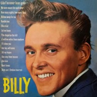 billy-fury---bumble-bee