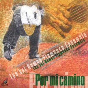 por-mi-camino