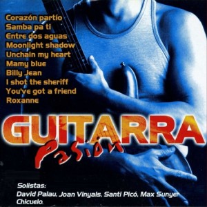 guitarra-pasion