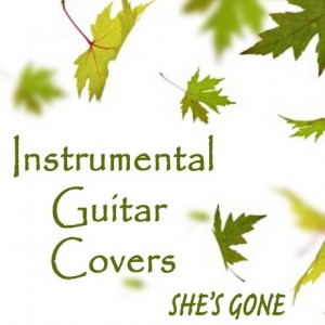 instrumental-guitar-covers-she-s-gone