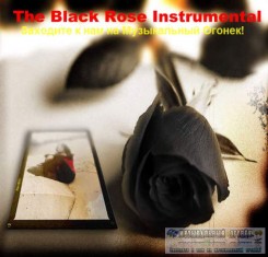 the-black-rose.front