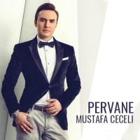 mustafa-ceceli---pervane