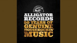 alligator-records-—-50