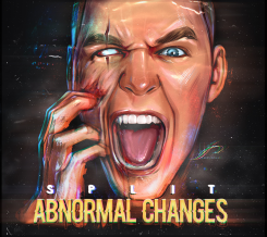 abnormal-changes-split
