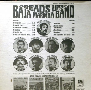 baja-marimba-band-heads-up!_back