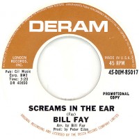 bill-fay---screams-in-the-ears