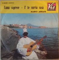 mario-abbate---i-te-vurria-vasà