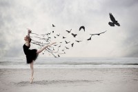 ballet-beach-birds-girl-woman-favim.com-82292