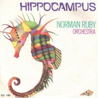 norman-ruby-orchestra---hippocampus-(instrumental)