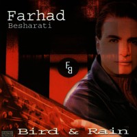 farhad-besharati---careless-whispers