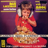 dan-lacksman-association---the-flamenco-moog