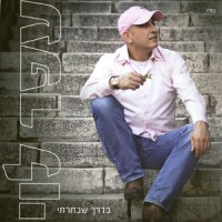 ofer-levi---איפה-את-אהובה