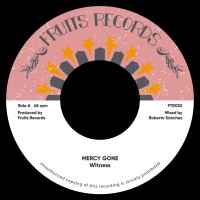 witness---mercy-gone