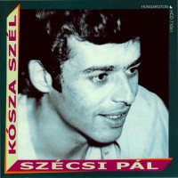 pál-szécsi---a-távollét