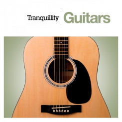 tranquility-guitars