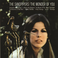 the-sandpipers---the-windmills-of-your-mind