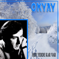 okyay---her-yerde-kar-var