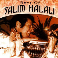 salim-halali---mediterranéen