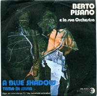 berto-pisano---a-blue-shadow