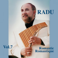 radu-constantin---la-dame-en-bleu