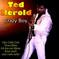 ted-herold---crazy-boy