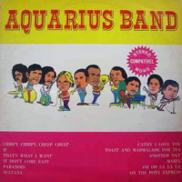 aquarius-band---sultana