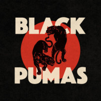 black-pumas---ain-t-no-love-in-the-heart-of-the-city