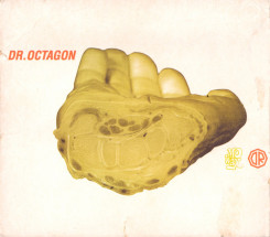 dr.octagone---fr