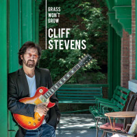 cliff-stevens---if-i-didn-t-love-you