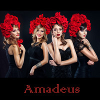 amadeus-(the-romanian-electric-quartet)---unstoppable