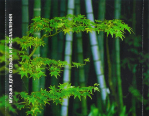 poyuschiy-bambuk---0004