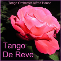 tango-orchester-alfred-hause---un-violon-dans-la-nuit