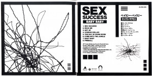 sex-success-1991-01