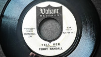 terry-randall---tell-her
