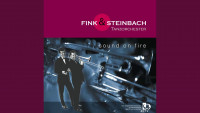 orchester-fink---steinbach---unter-dem-himmel-von-paris