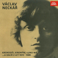 vaclav-neckar---kytara-a-píseň