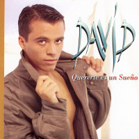 david---todo-tiene-su-fin