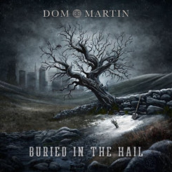 dom-martin-sd-front
