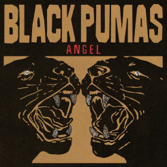 black-pumas---chronicles-of-a-diamond-(2023)