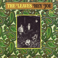 the-leaves---hey-joe,-where-you-gonna-go