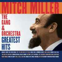 mitch-miller---his-orchestra---song-for-a-summer-night