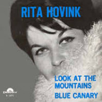 rita-hovink---blue-canary