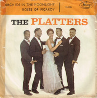 the-platters---orchids-in-the-moonlight