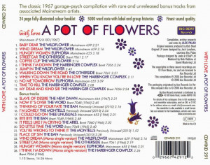 a-pot-of-flowers---back