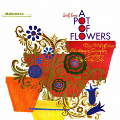 a-pot-of-flowers---front